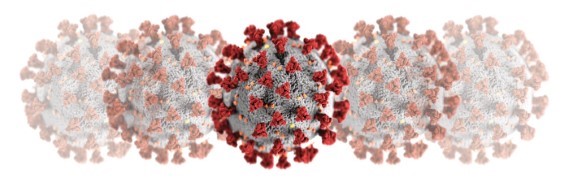 Recomendações da Ordem dos Médicos Veterinários em relação ao coronavirus SARS- COV-2 - Ver mais